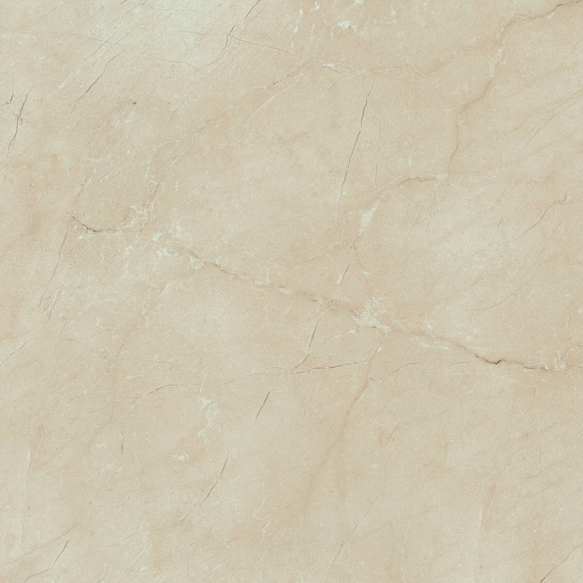 Cream Chamber Pulido