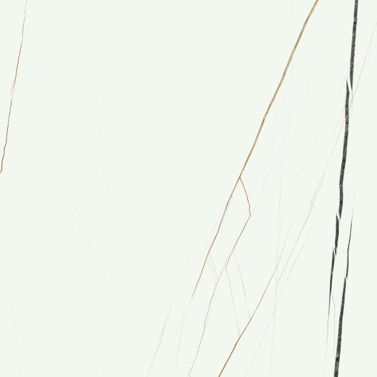 Symphony White Pulido