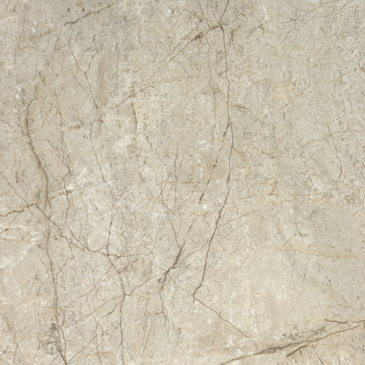 Athlone Beige Pulido