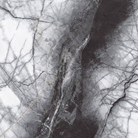 Victorinox Black High Glossy