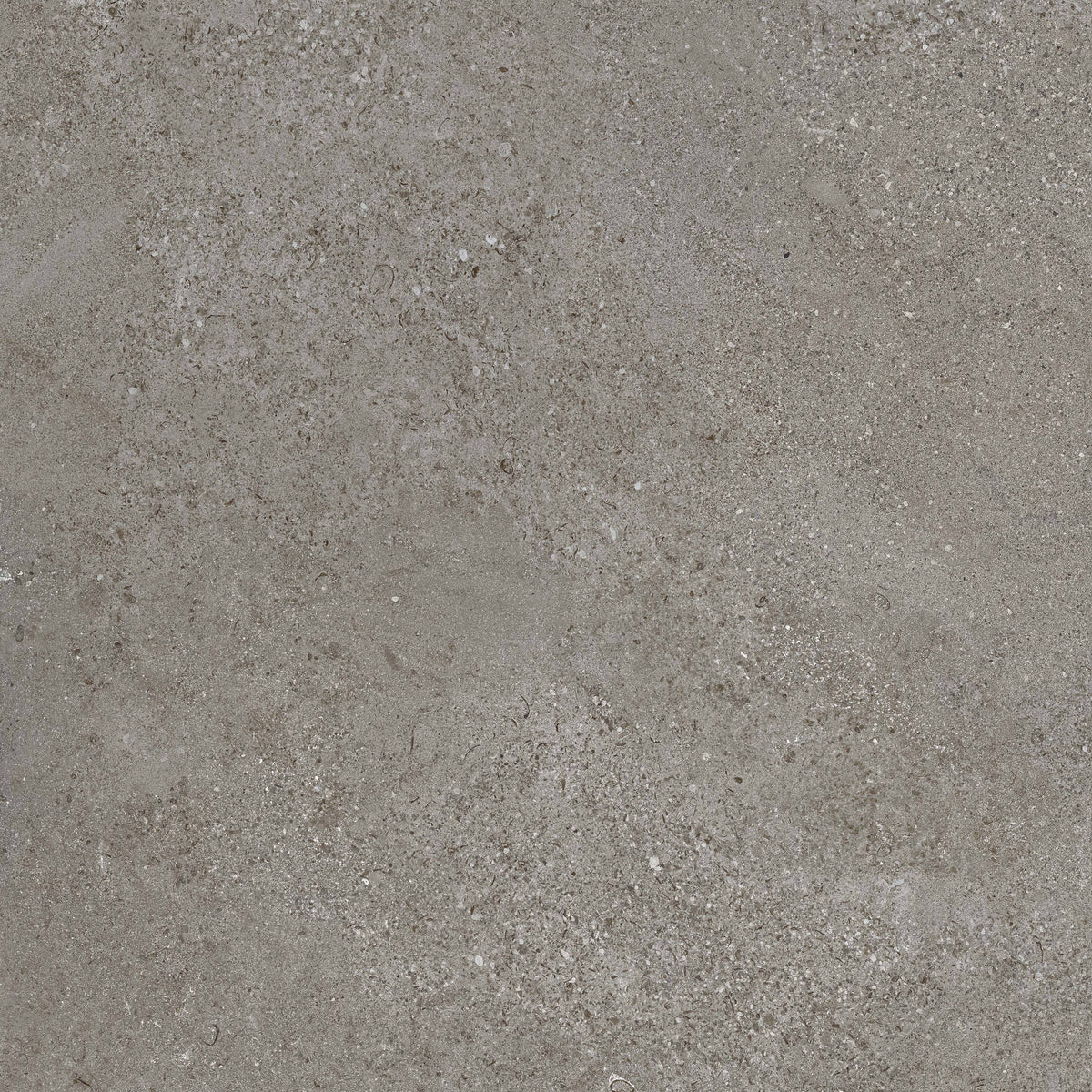 Arenite Dark Grey Matt