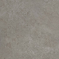 Arenite Dark Grey Matt