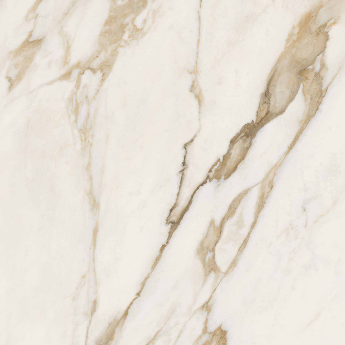 Calacatta Bright Lux