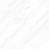 Carrara White Glossy