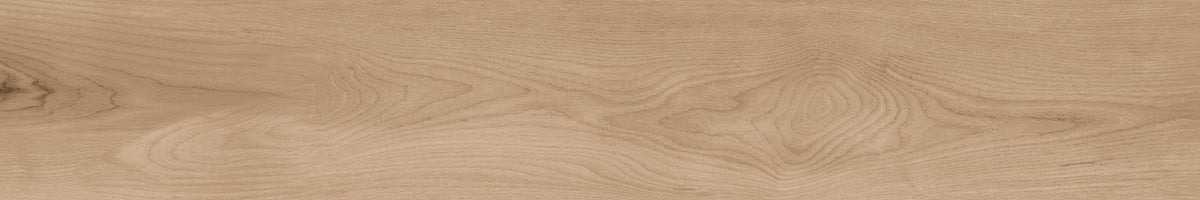Acer Bone