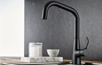 Mood Q-Spout Matt Black Kitchen Mixer