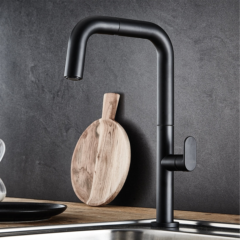 Eva Matt Black Kicthen Mixer