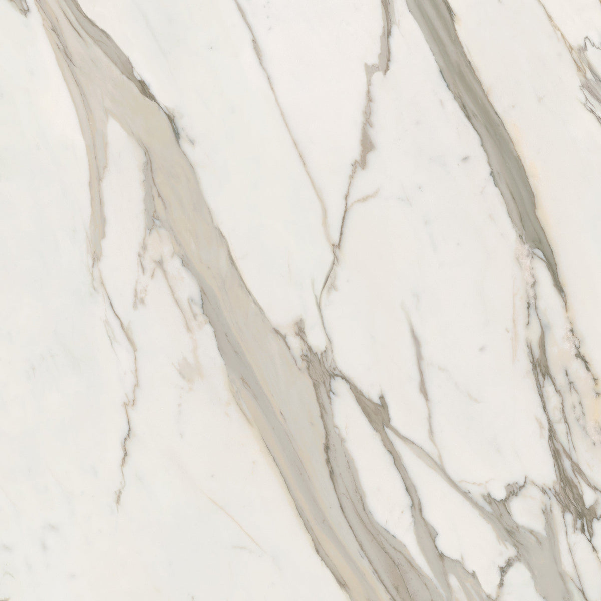 Pulido Beige Marble