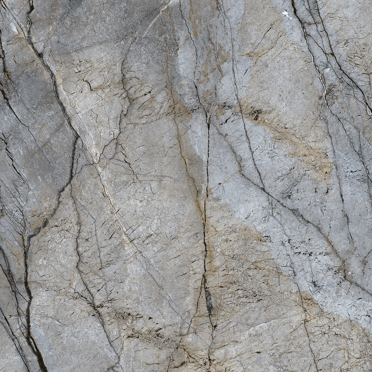 Pulido Grey Marble