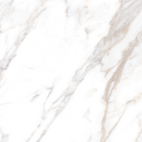 Calacatta Borghini Glossy