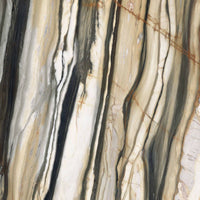 Oyster Gold Lux